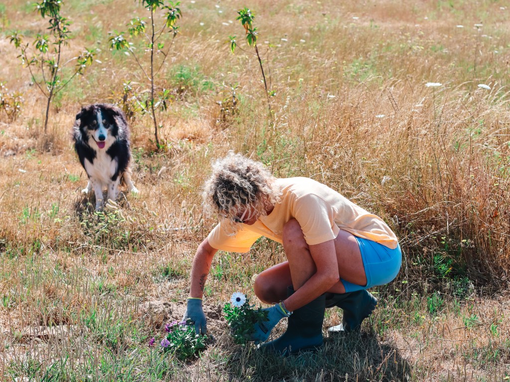 Living off-grid: the things no one warns you&nbsp;about